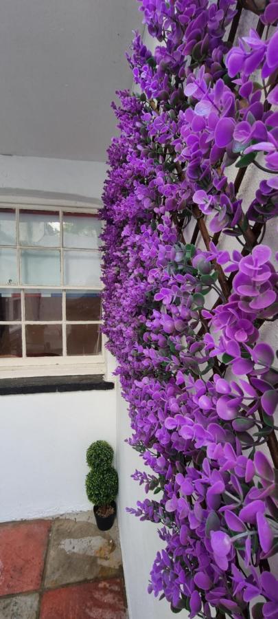 Diamond Harbour - Whole Huge Apartment - Wifi - Beach - Ramsgate Town Ngoại thất bức ảnh